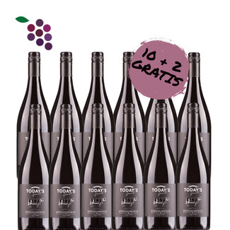Today's Special Appassimento 2022 12x75cl