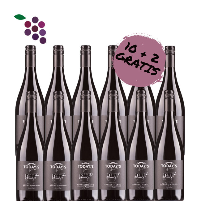 Today's Special Appassimento 2022 12x75cl