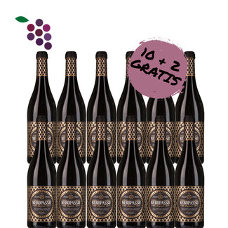 Biscardo Neropasso Rosso 2023 - 10+2 Gratis