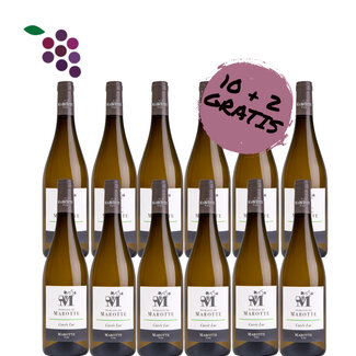 Domaine de Marotte Cuvee Luc Blanc 2024 - 10+2 Gratis