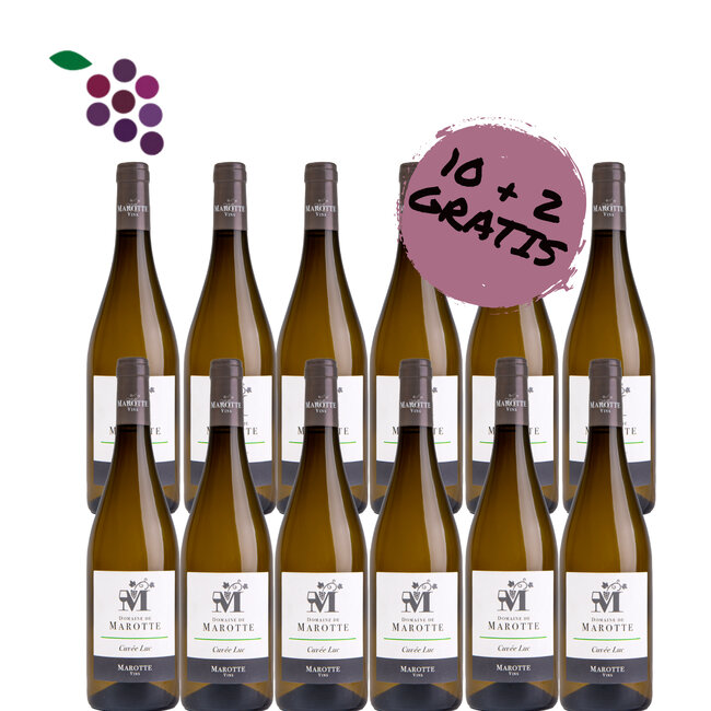 Domaine de Marotte Cuvee Luc Blanc 2024 12x75cl