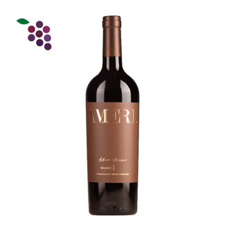 Domaine Bousquet Ameri Single Vinyard Tupungato 2022