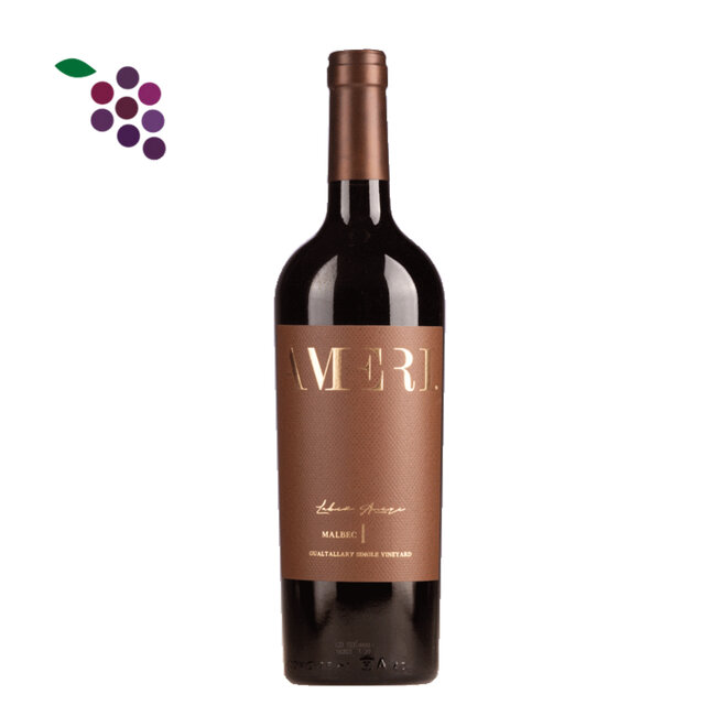 Domaine Bousquet Ameri Single Vinyard Tupungato 2022