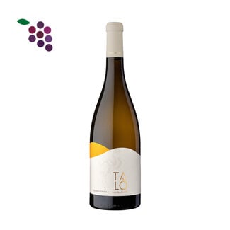 San Marzano Talò Chardonnay 2024