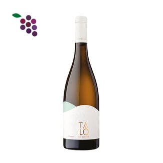 San Marzano Talo Fiano 2025