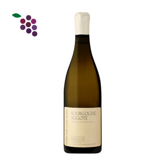 Pierre Yves Colin Morey Bourgogne Hautes Cotes de Beaune 2023