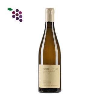 Piere Yves Colin Morey Bourgogne 2023