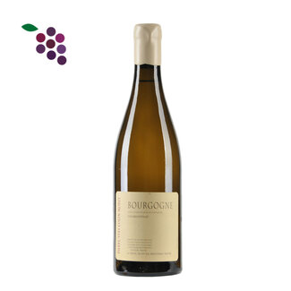 Pierre Yves Colin Morey Bourgogne Chardonnay 2024