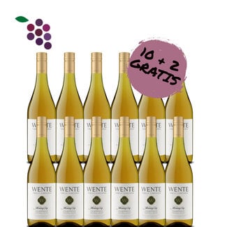 Wente Morning Fog Chardonnay 2023 12x75cl