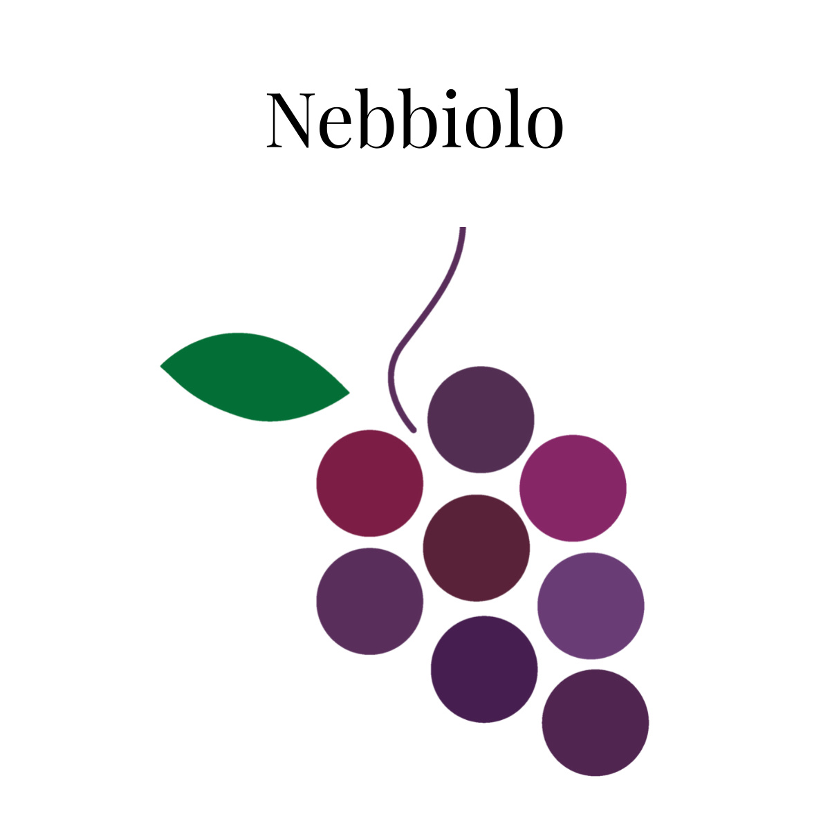Nebbiolo kopen