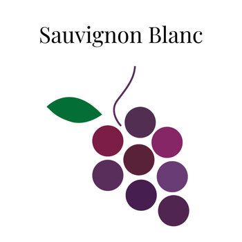 Sauvignon Blanc