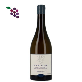 Paul Gayot Bourgogne AC Chardonnay 2024 - Magnum 150cl