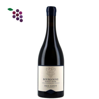 Paul Gayot Bourgogne AC Pinot Noir 2024