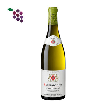 Bader-Mimeur Bourgogne AC Chardonnay Dessous Les Mues 2023