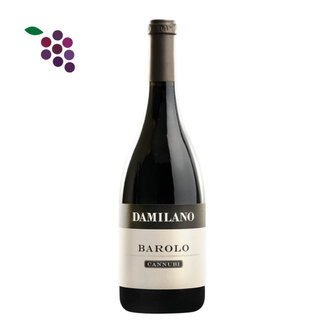 Damilano Barolo Cannubi 2021