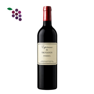 Chateau Esperance de Trotanoy Pomerol 2023