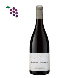 Berthelemot Chambolle Musigny Rouge 2023