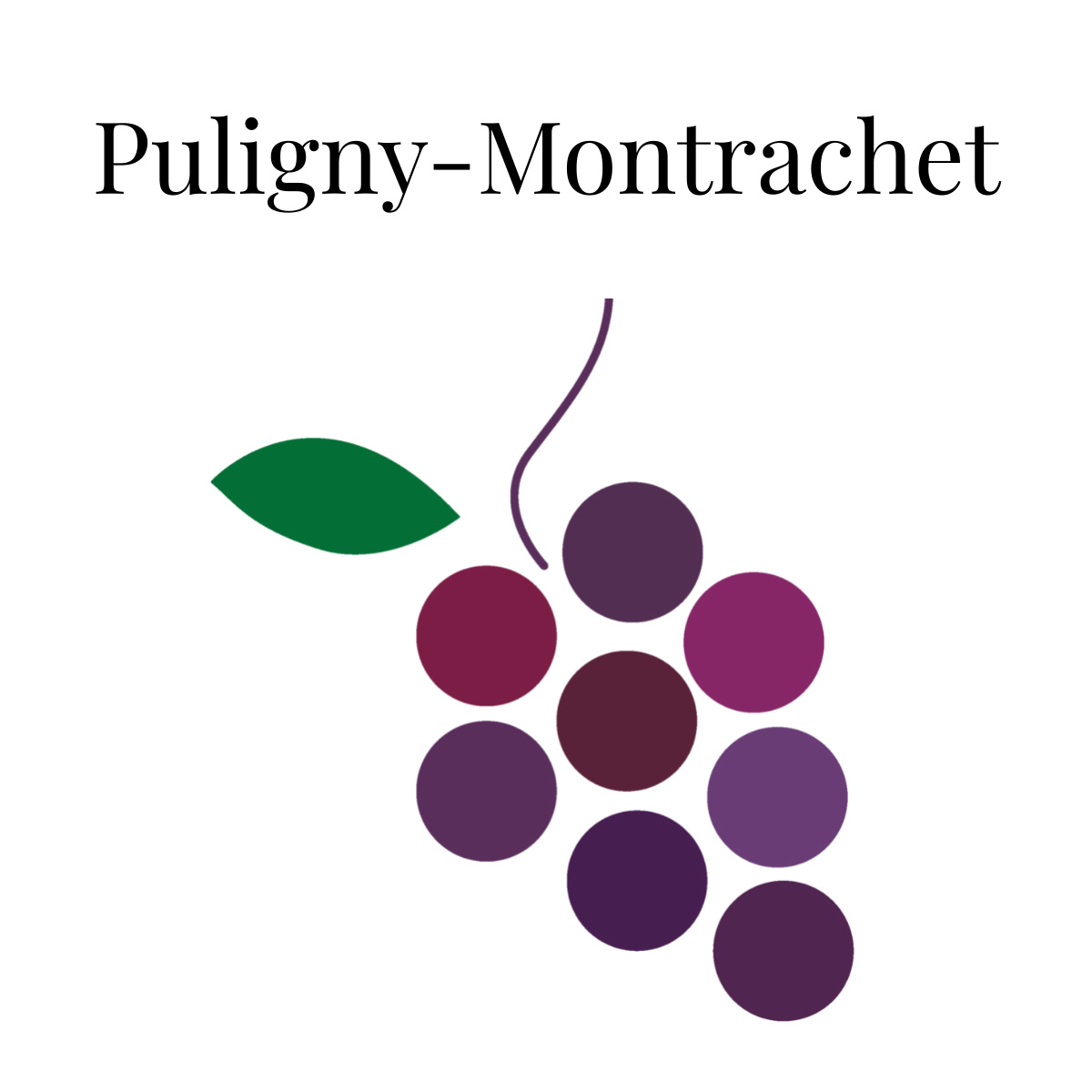 Puligny-Montrachet