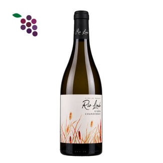 Rio Lindo Viura / Chardonnay 2025