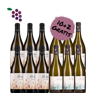Rio Lindo Chardonnay 2025 & Verdejo 2025