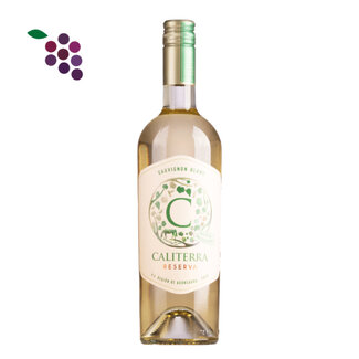 Caliterra Reserva Sauvignon Blanc 2024