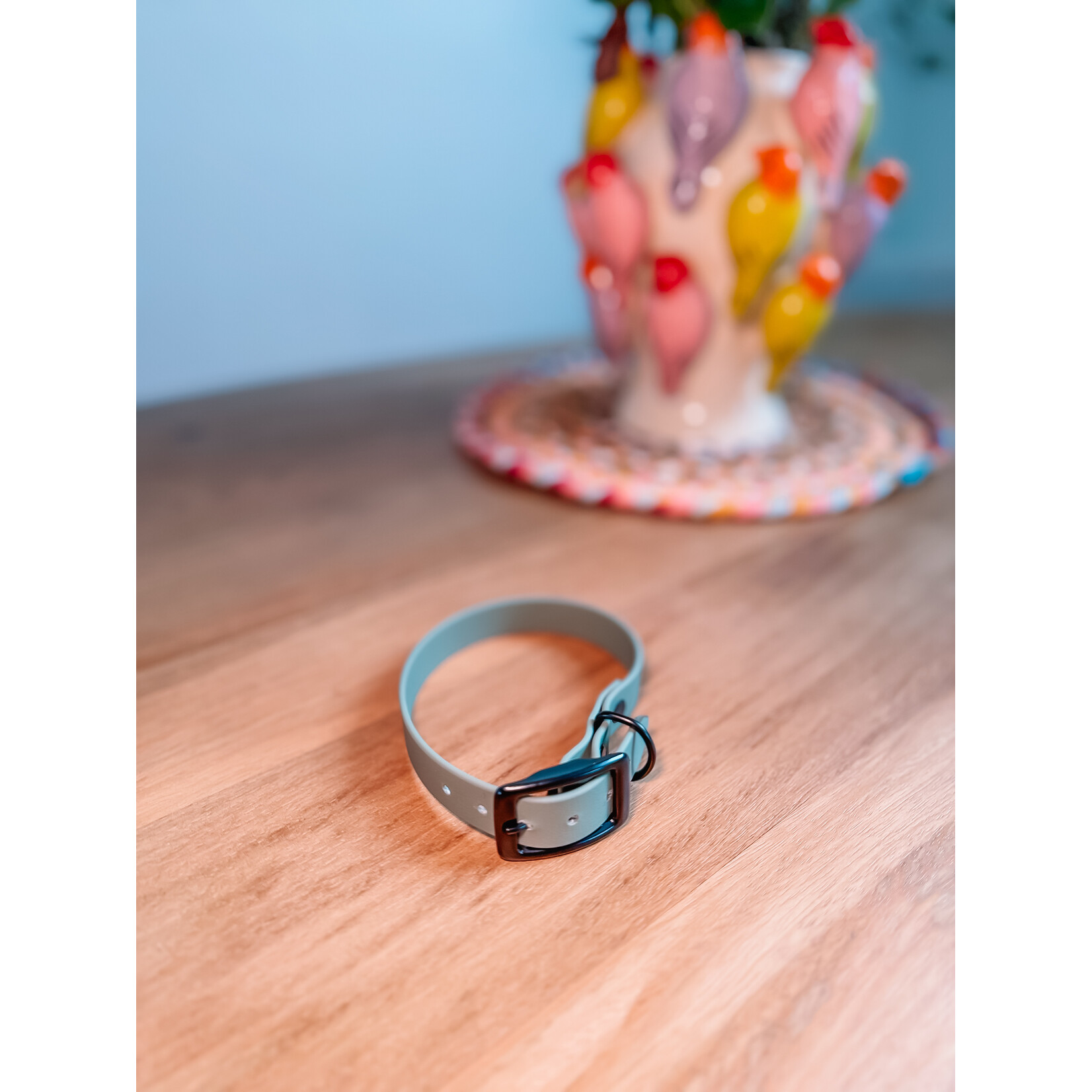 studio Imke Hondenhalsband BioThane – waterdicht, stijlvol & duurzaam |