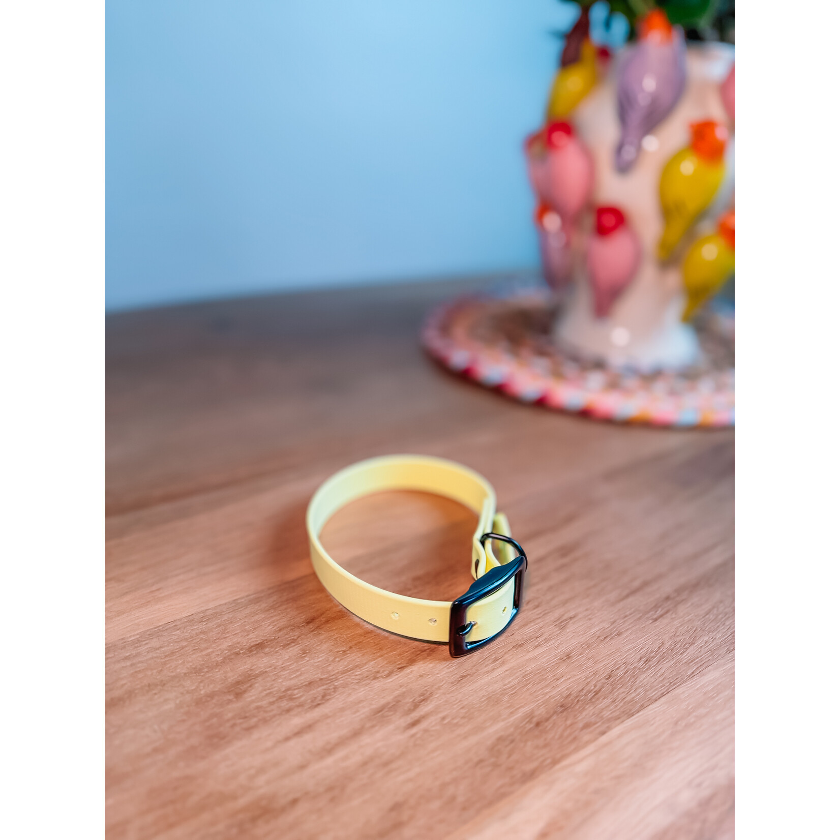 studio Imke Hondenhalsband BioThane – waterdicht, stijlvol & duurzaam |