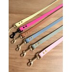 BioThane hondenleiband verstelbaar – waterdicht & multifunctioneel