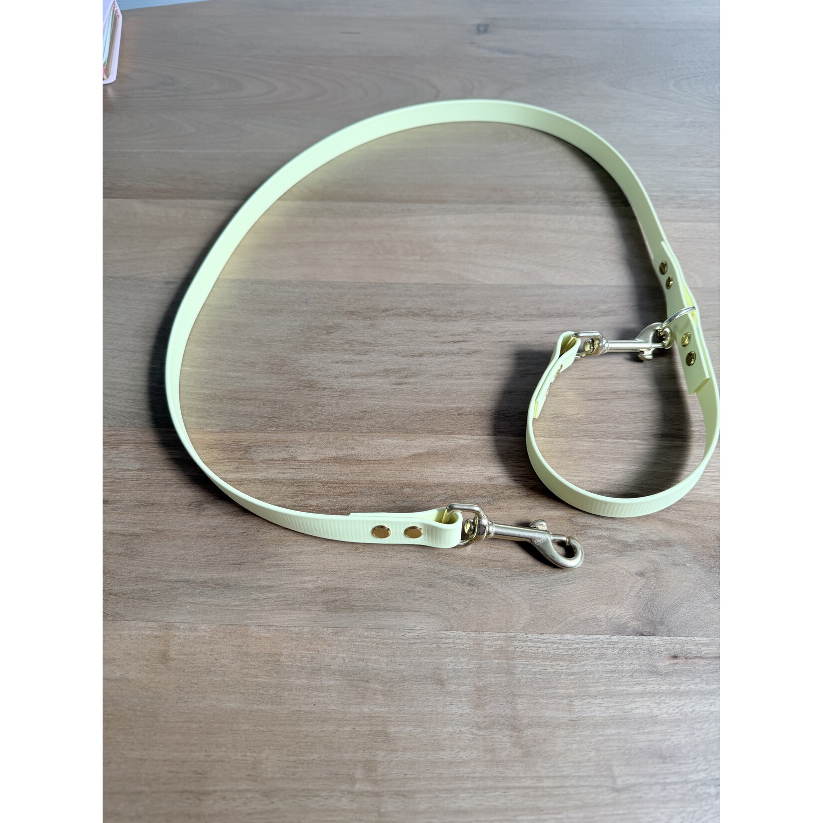 BioThane hondenleiband verstelbaar – waterdicht & multifunctioneel