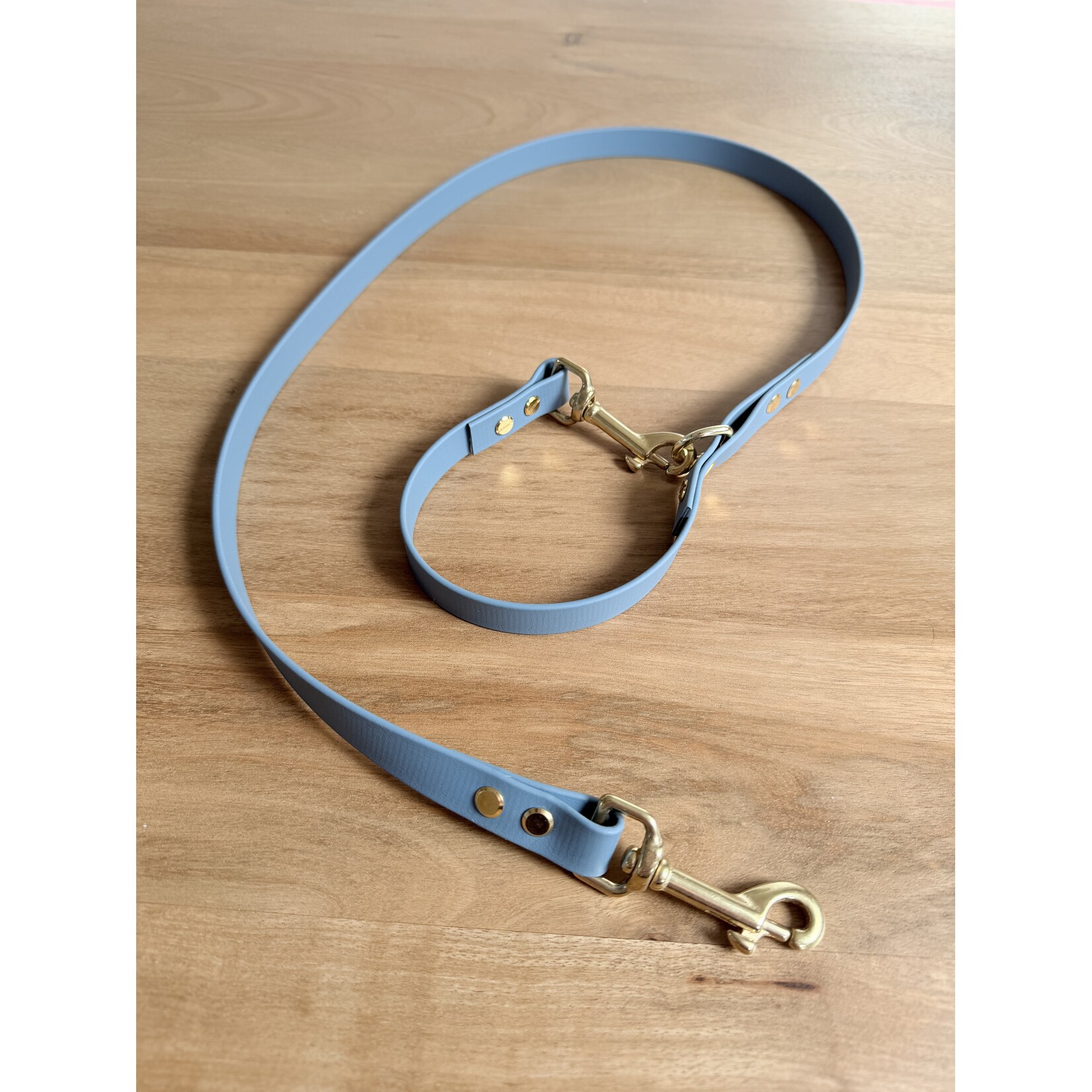 BioThane hondenleiband verstelbaar – waterdicht & multifunctioneel