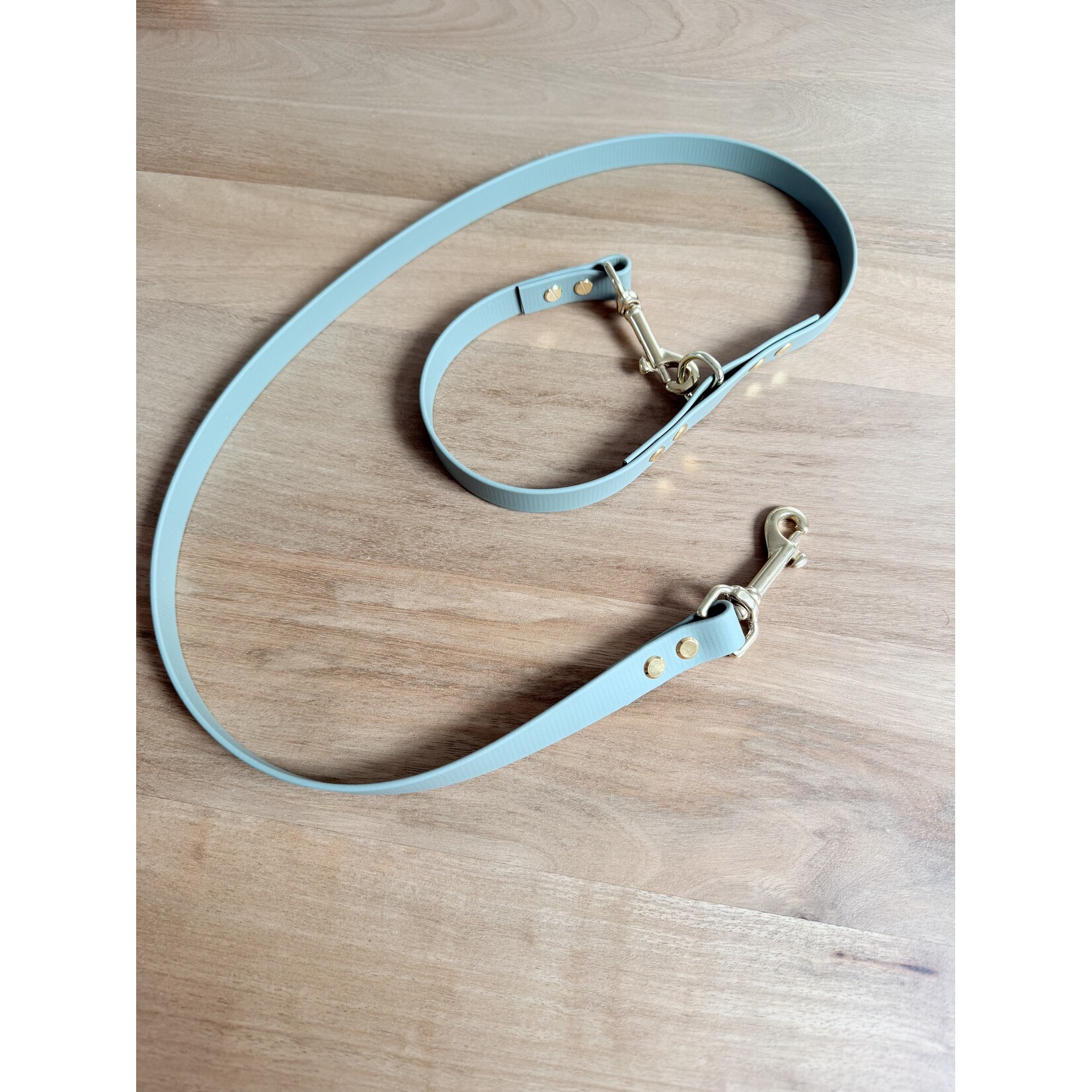 BioThane hondenleiband verstelbaar – waterdicht & multifunctioneel