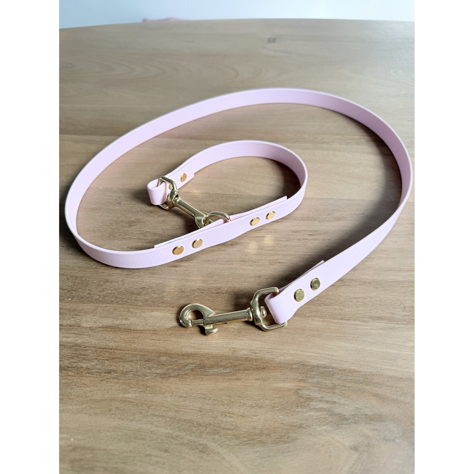 BioThane hondenleiband verstelbaar – waterdicht & multifunctioneel