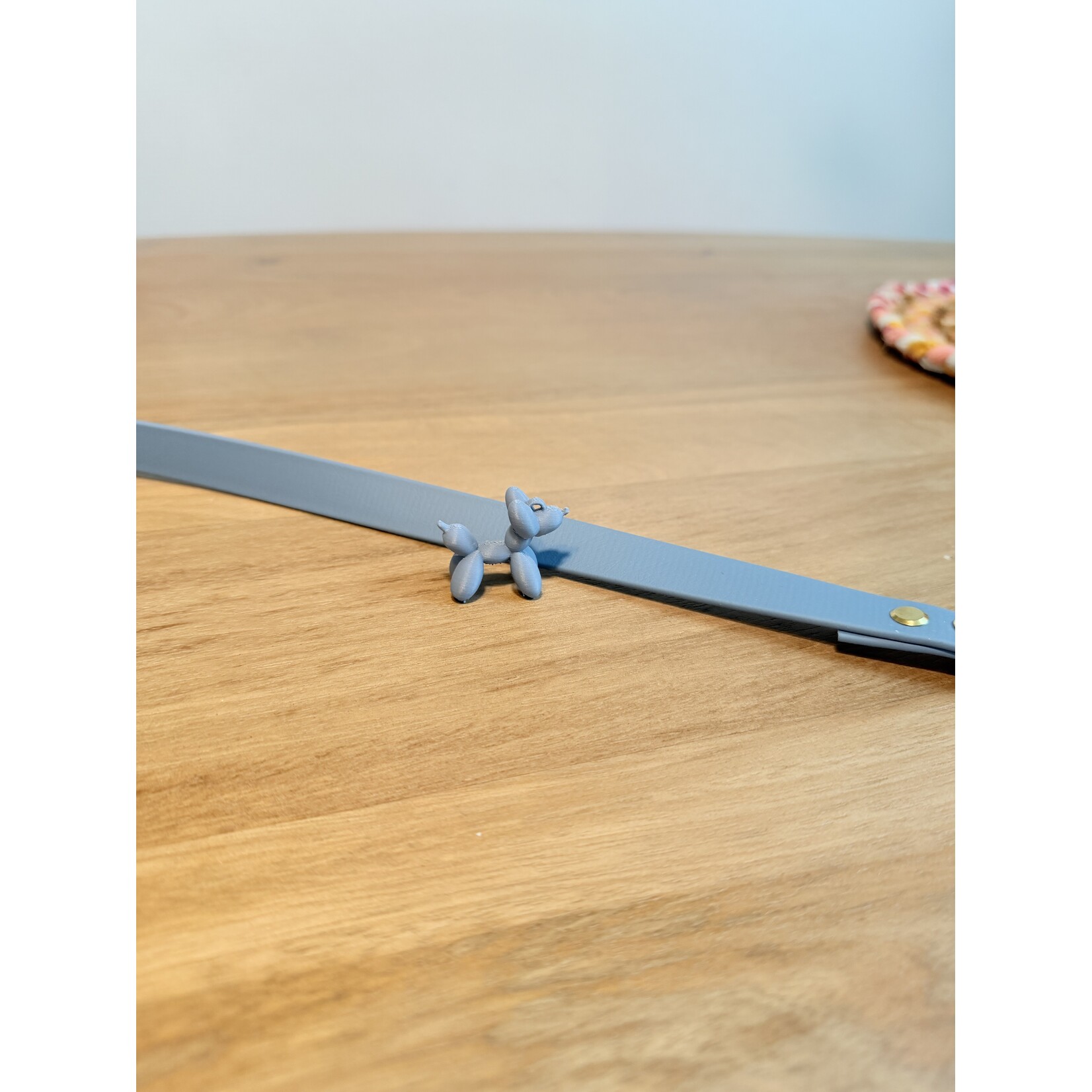 Walk Set Essential – Halsband & Leiband voor honden