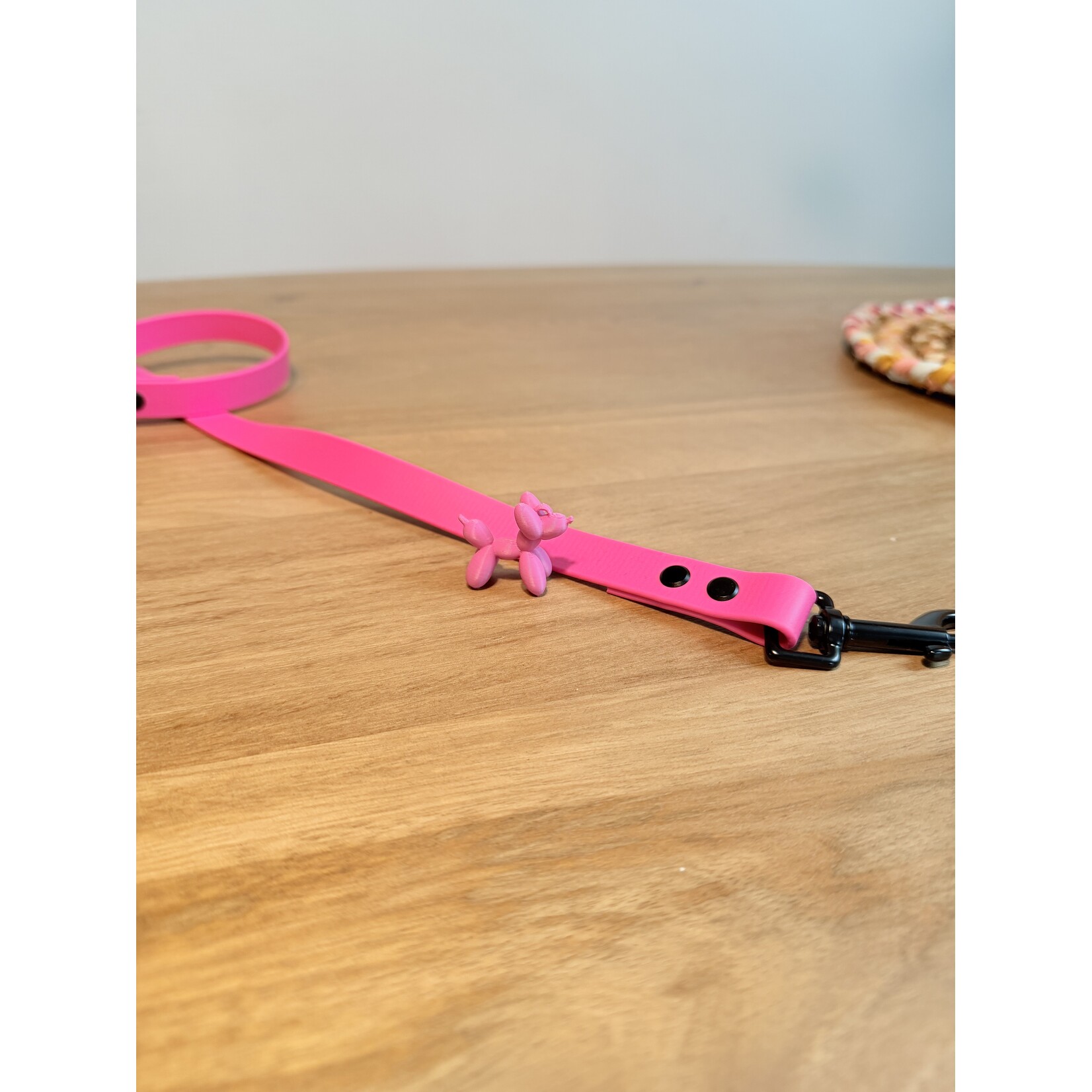 Walk Set Essential – Halsband & Leiband voor honden