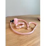 Walk Set Complete – Honden halsband, leiband & accessoires