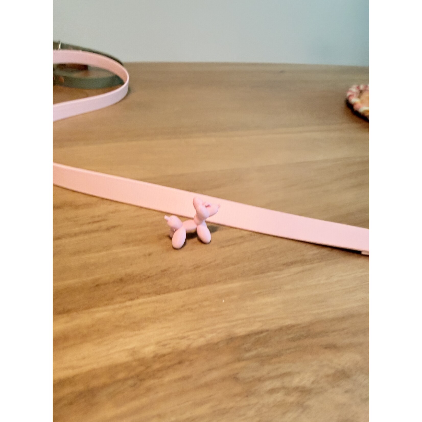 Walk Set Complete – Honden halsband, leiband & accessoires