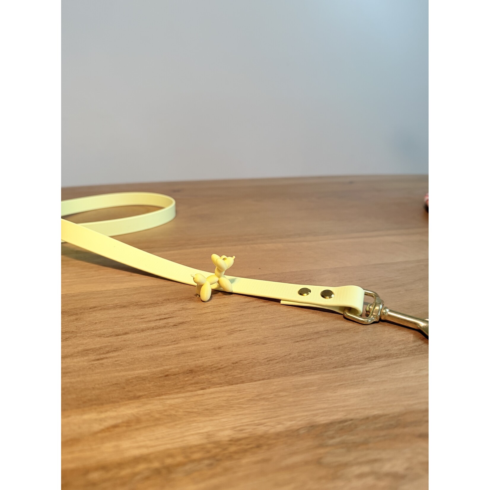 Walk Set Complete – Honden halsband, leiband & accessoires