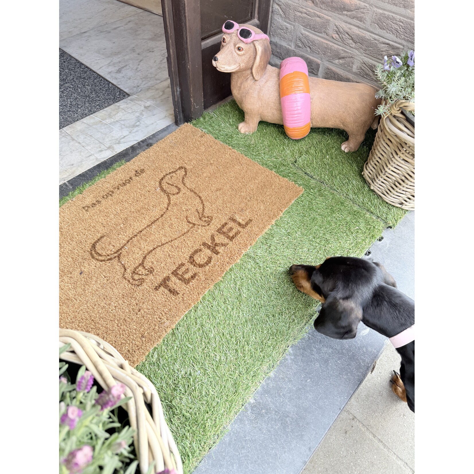 Deurmat teckel gravure  Originele deurmat voor hondenliefhebbers