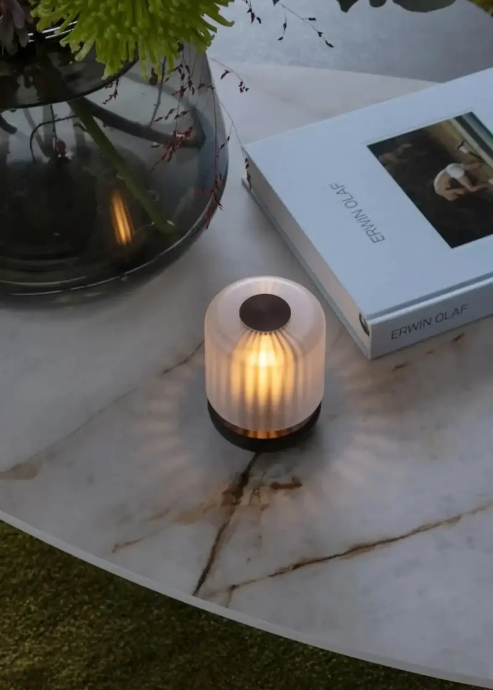 Humble Humble | Firefly | Lamp |  Bronze | Frosted