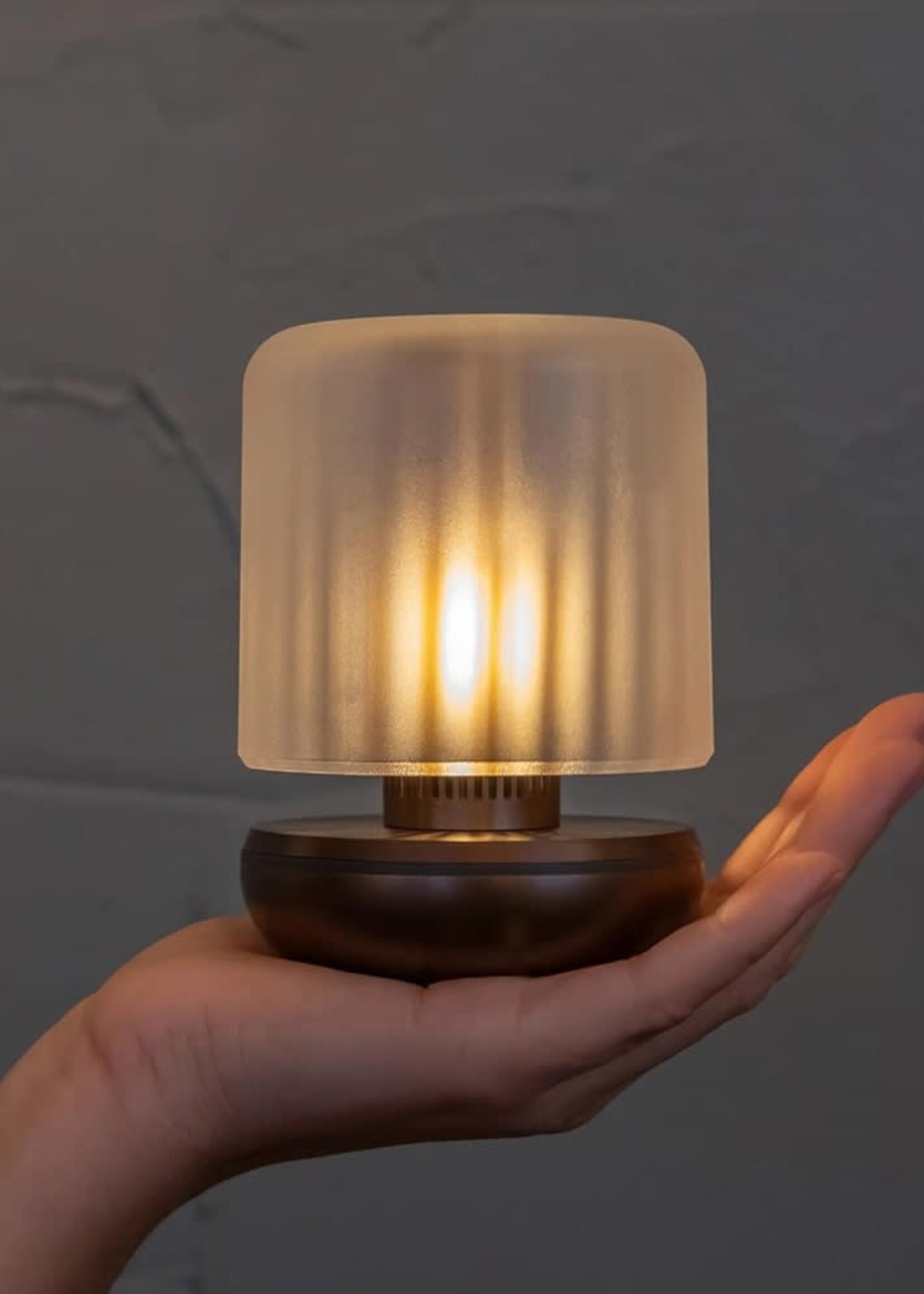 Humble Humble | Firefly | Lamp |  Bronze | Frosted