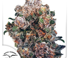 Blueberry