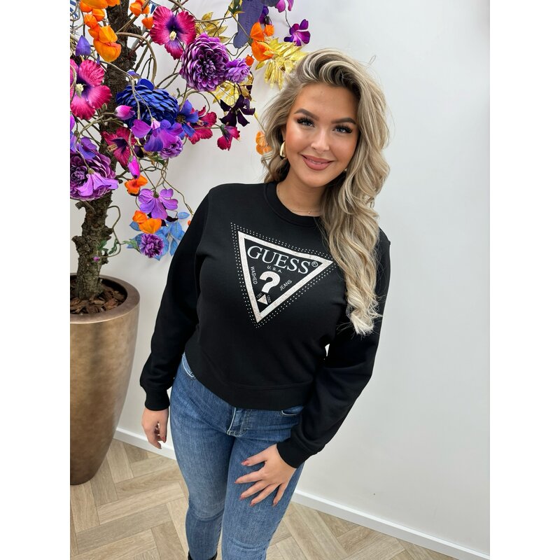 Sweater Python Black Guess 311