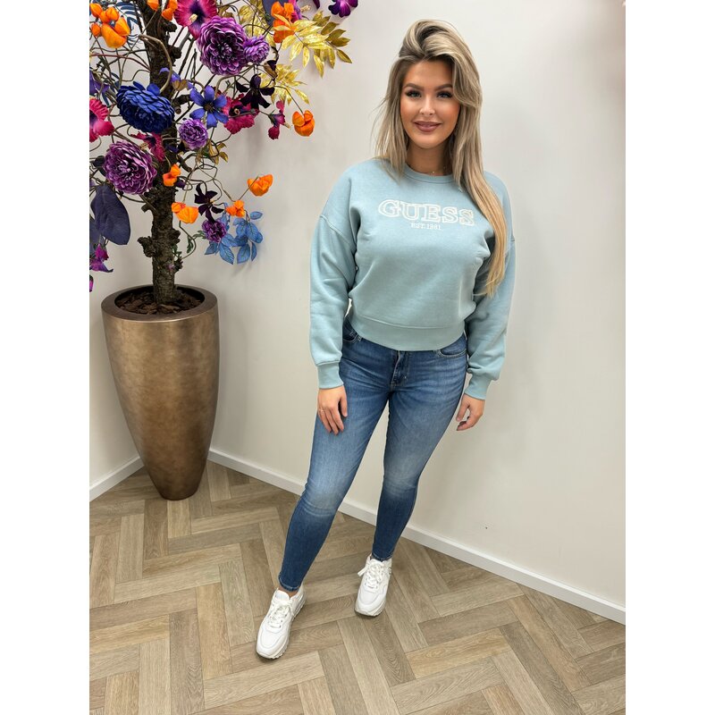 Sweater Penny Ice Guess 461