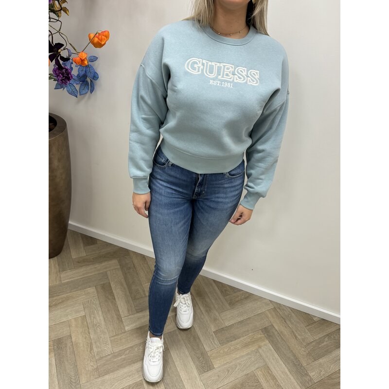 Sweater Penny Ice Guess 461