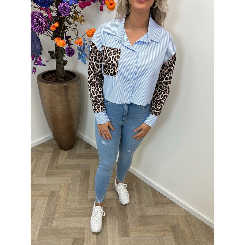 Blouse Stripes Leopard Blue