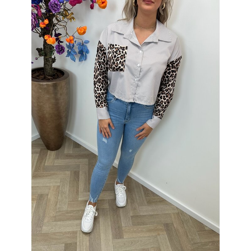 Blouse Stripes Leopard Beige