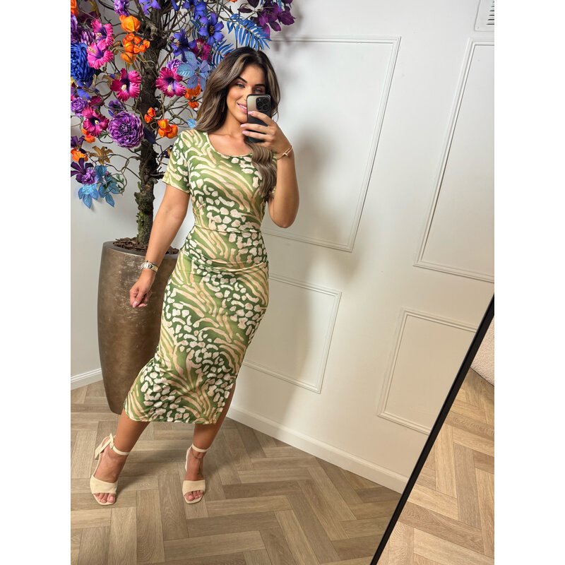 Dress animal travel army
