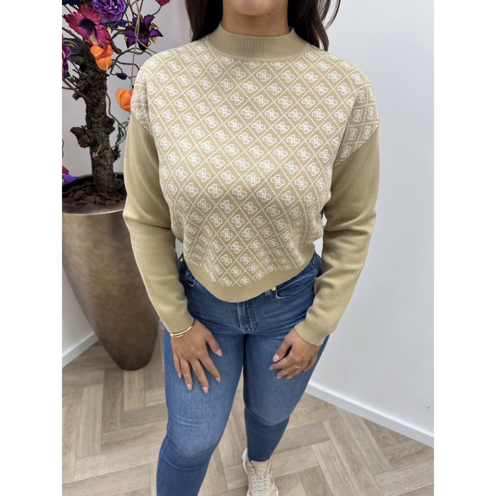 Guess Sweater Aubrey 4G logo Beige Guess 830
