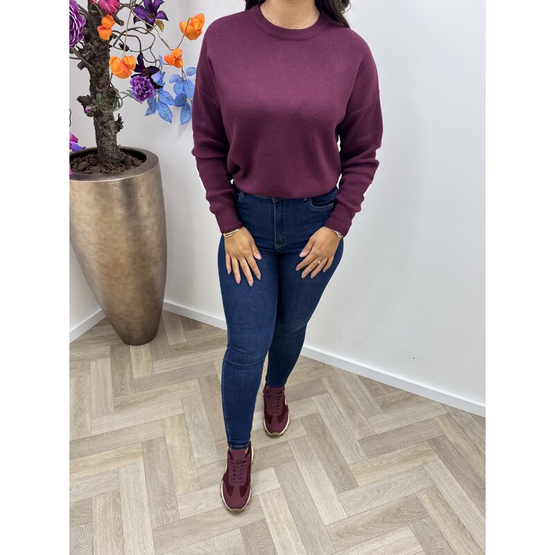 Sweater New York AM180 Bordeaux