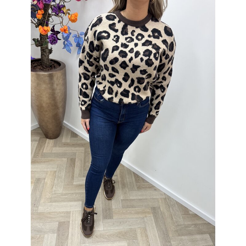 Sweater New York Leopard AM702 Choco